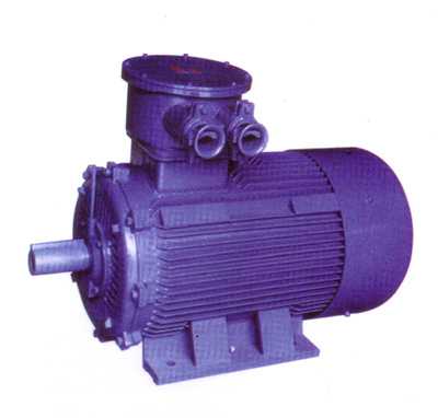 變極多速三相異步電動機(jī)